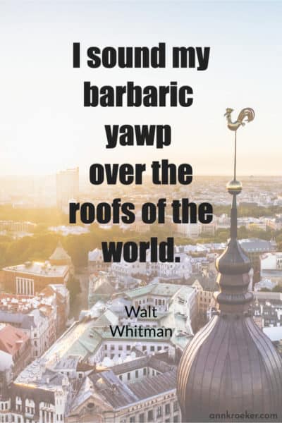 I sound my barbaric yawp over the roofs of the world. (Walt Whitman)