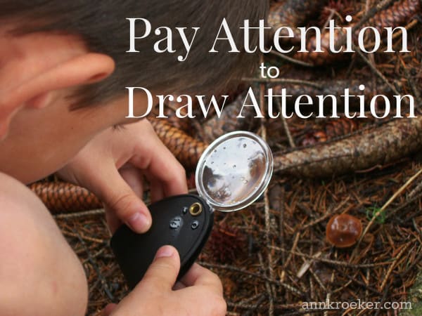 Pay Attention to Draw Attention | Ann Kroeker, Writing Coach