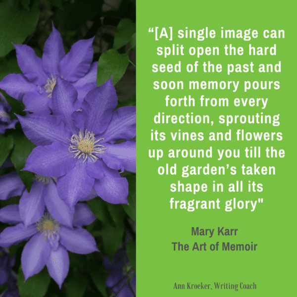 [A] single image can split open the hard seed of the past and soon memory pours forth from every direction (Mary Karr, The Art of Memoir)