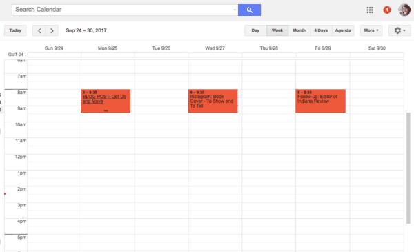 Google Calendar Screenshot Sample Entries