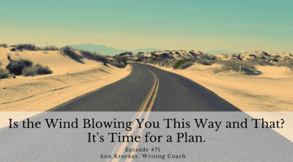  Is the Wind Blowing You This Way and That? It's Time for a Plan. - Ep 71: Ann Kroeker, Writing Coach