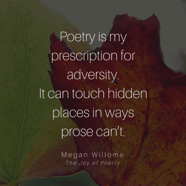 Poetry is my  prescription for adversity.  It can touch hidden places in ways  prose can’t. - Megan Willome, The Joy of Poetry