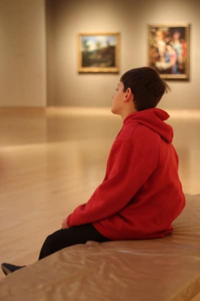 ArtMuseum-Boy Contemplates