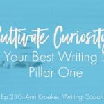 Cultivate Curiosity for Your Best Writing Life: Pillar One (Ep 210: Ann Kroeker, Writing Coach)