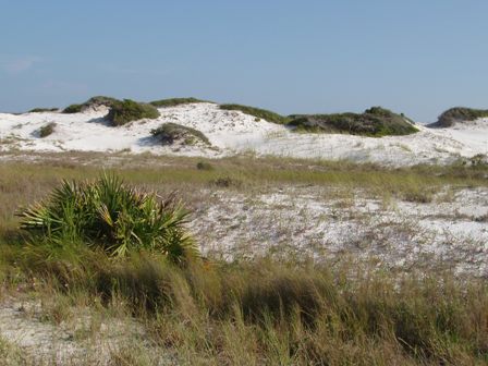 dunes