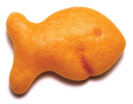 goldfish