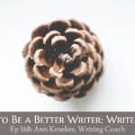 How to Be a Better Writer: Write Tight (Ep 168: Ann Kroeker, Writing Coach)