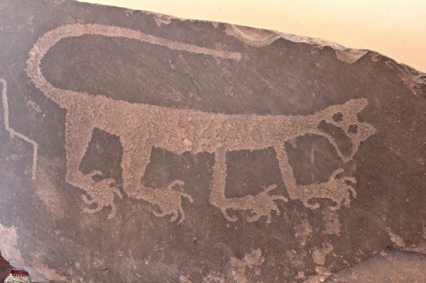 mountain lion petroglyph