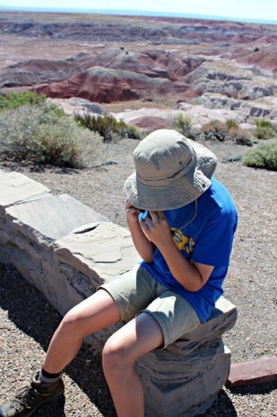 painted desert bored