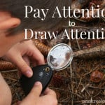 Pay Attention to Draw Attention | Ann Kroeker, Writing Coach