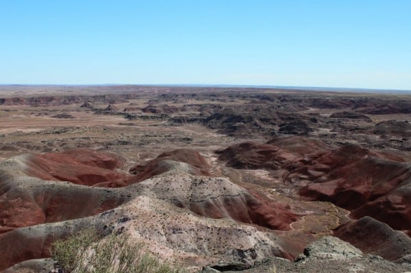 Petrified Forest surface of the moon