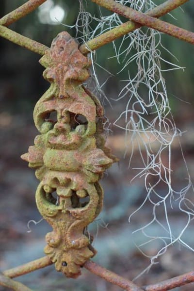 spanish moss strands