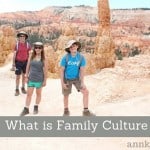 What is Family Culture - Interview with Dr. Helen Fagan