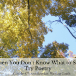 When You Don't Know What to Say, Try Poetry - Ep77: Ann Kroeker, Writing Coach